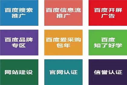 SEM推广策略：成功案例分享与启示
